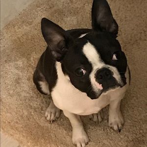 Meet your Posher, Mureen